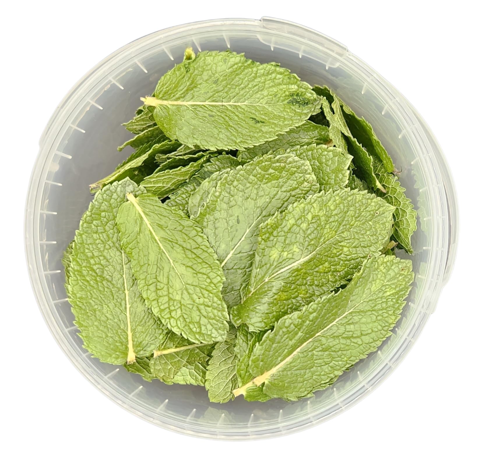 Menta Mojito liofilizzata a foglie intere-pronta all'uso per Cocktail, tisane e Piatti Innovativi-Preserva il 98% del gusto, colore e aroma della menta fresca- 100% MENTA HIERBABUENA-