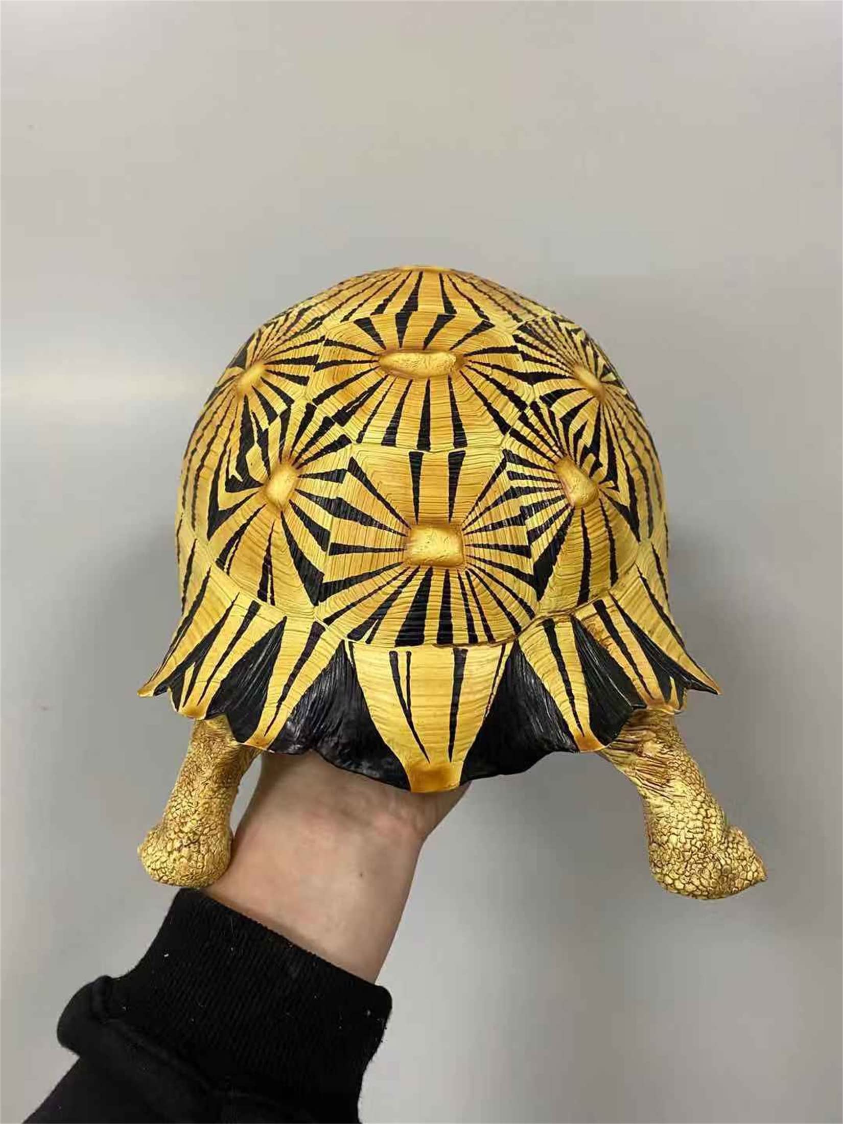 ゾウs・m 亀 HANSA（ぬいぐるみ） BH6461 ゾウガメ HANSA ぞうがめ カメ かめ