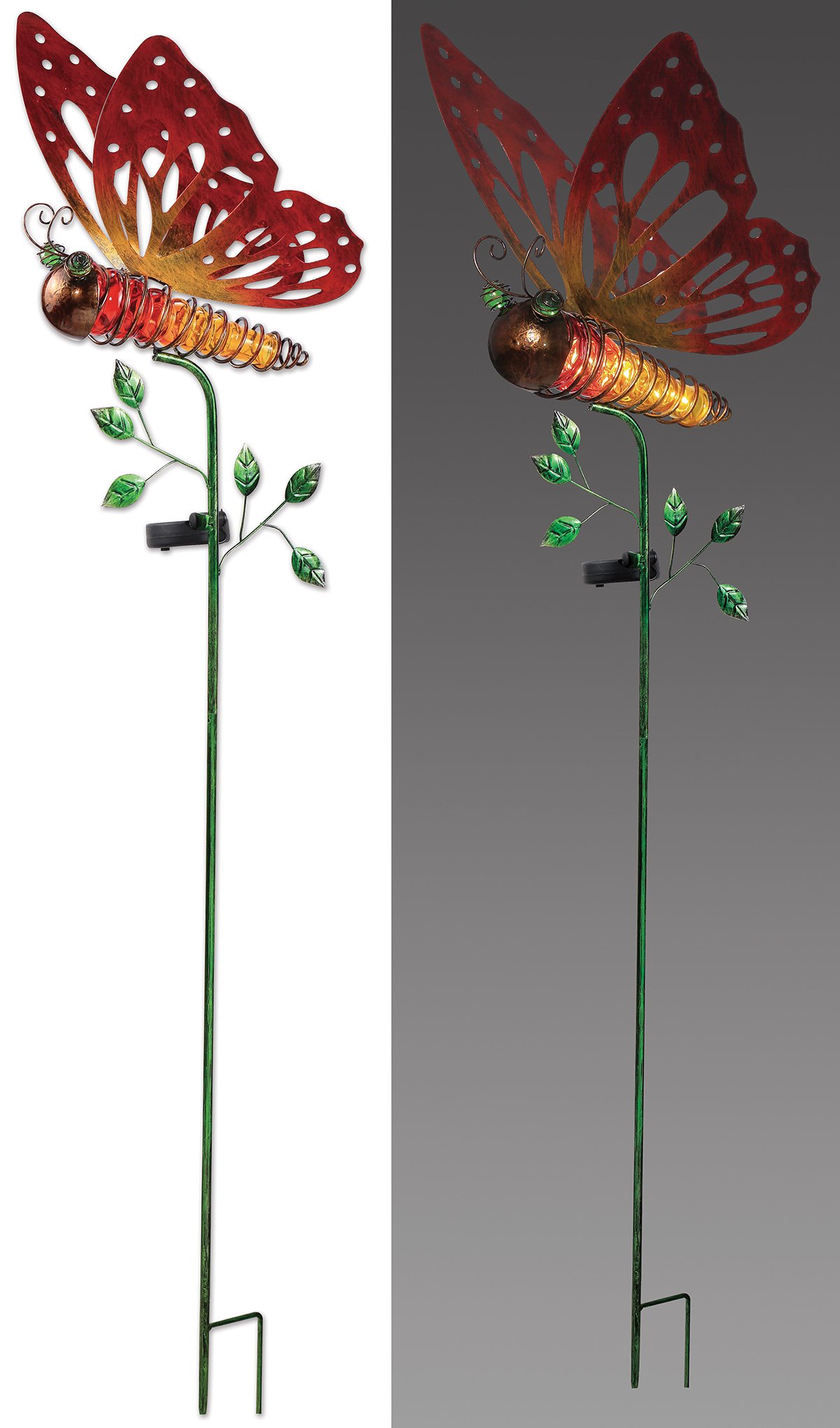 Amazon.com : Sunset Vista Designs 92574 Orange Butterfly Garden