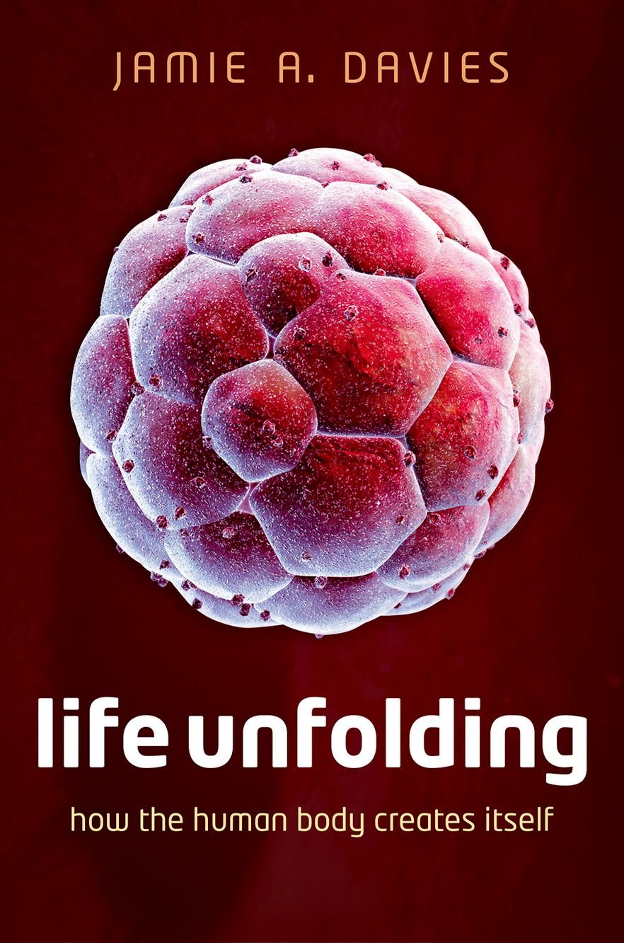 Life Unfolding: How the human body creates itself