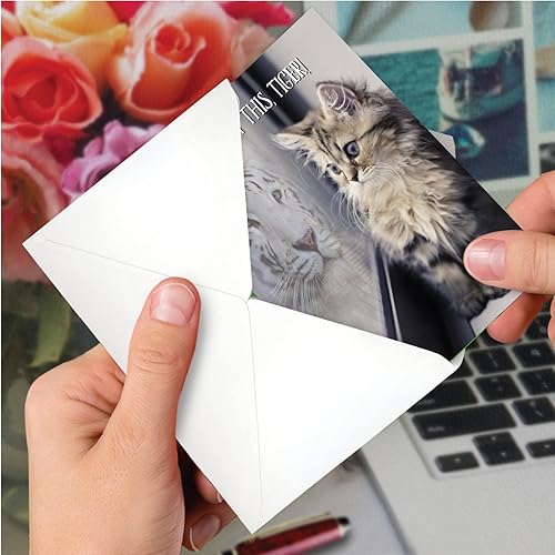 Miniatura 4 de NobleWorks Paquete de 3 tarjetas de felicitación de amistad con sobres (1 diseños, 3 cada uno) Aspiraciones C7076JFRG-C3x1