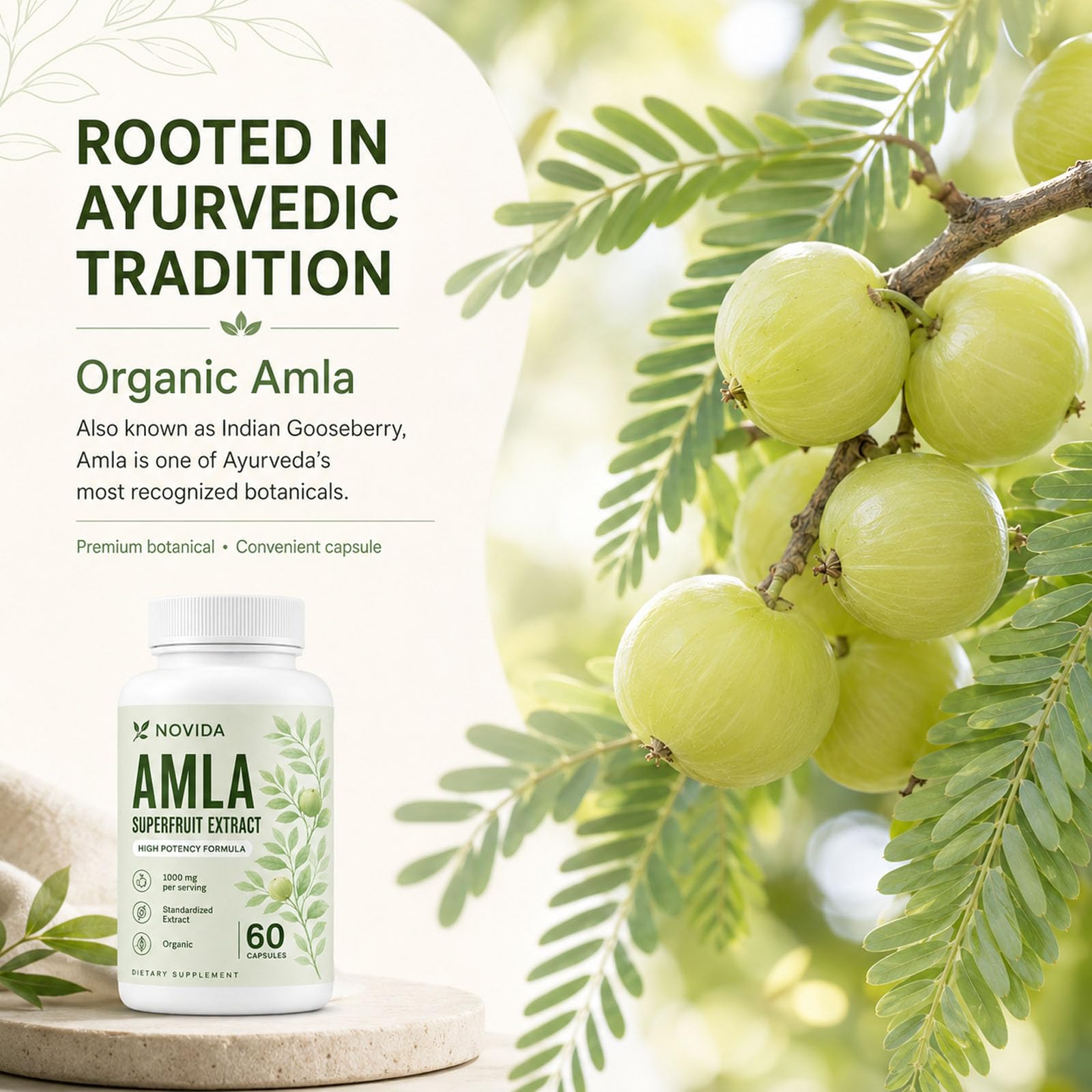 Novida Amla Capsules, Organic Amla Extract Supplement — Amazon image 4