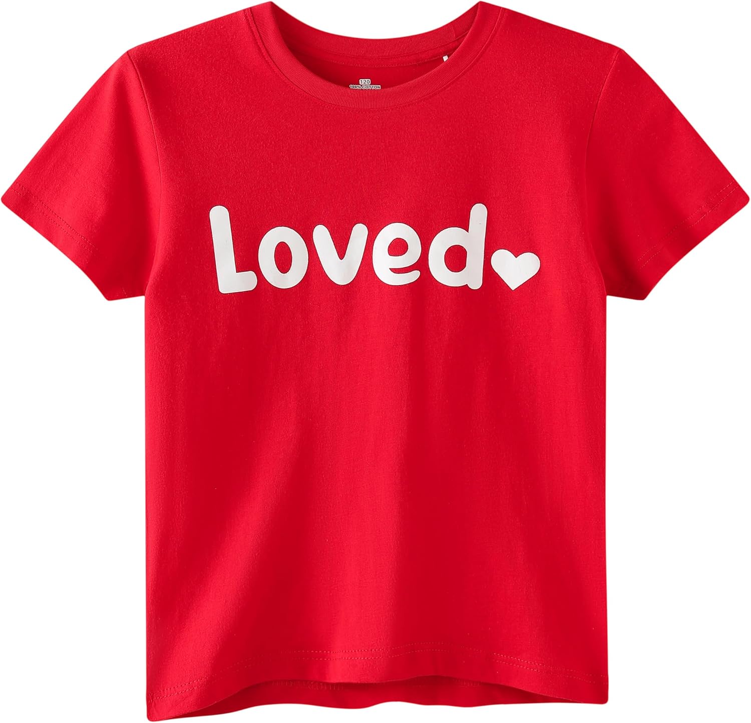 Winging Day Boys Short Sleeve Crewneck Kids T-Shirts Top Girls Tee
