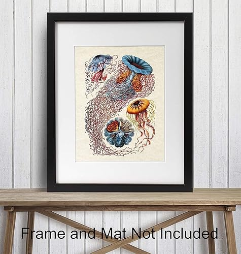 Miniatura 5 de Jellyfish Wall Art Print - Ready to Frame (8X10) Vintage Photo - Perfect Gift for Marine Enthusiasts - Great For Bathroom, Beach House, Lake House
