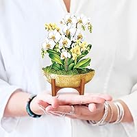 Vista 19 de Freshcut Paper Tarjetas de felicitación desplegables, Oasis de orquídeas, tarjeta de felicitación 3D desplegable de ramo de flores en tamaño natural