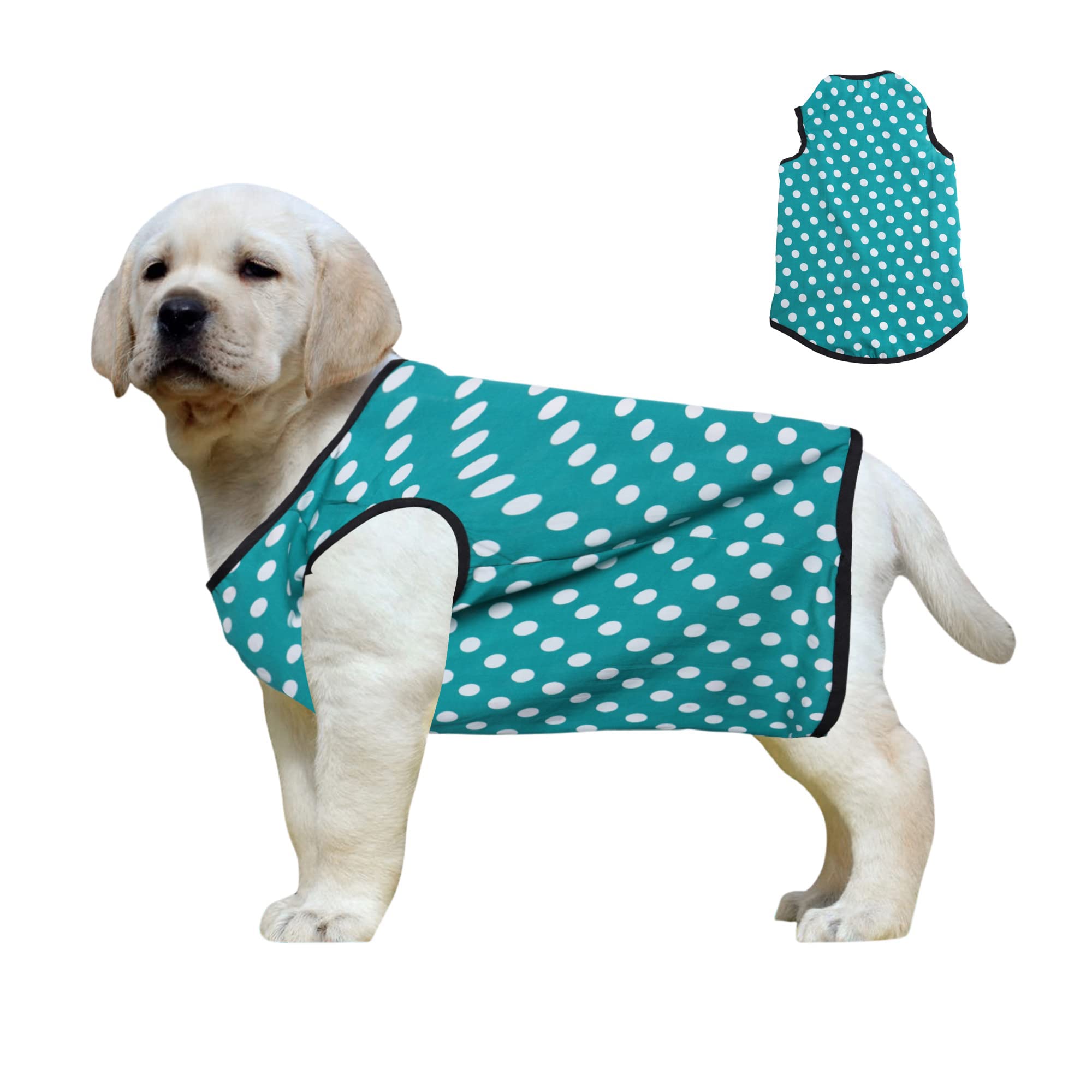 Western Era Funky Soft Cotton Dog T-Shirt | Comfortable & Breathable Dog Clothing | Sleeveless Vest Puppy Outfit |(Polka Sky Blue) (Small - 14inches)