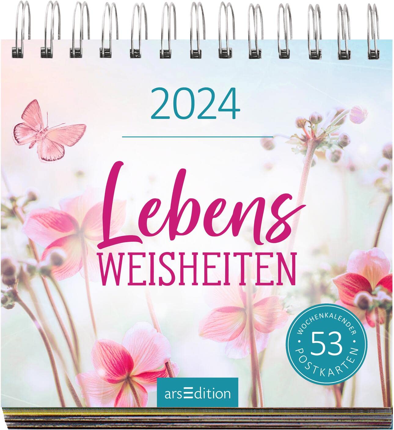 Display Postkartenkalender 2024: Mit 20 x 3 Ex. | Wochenkalender 2024, 53 Postkarten zum Abtrennen und Verschicken
