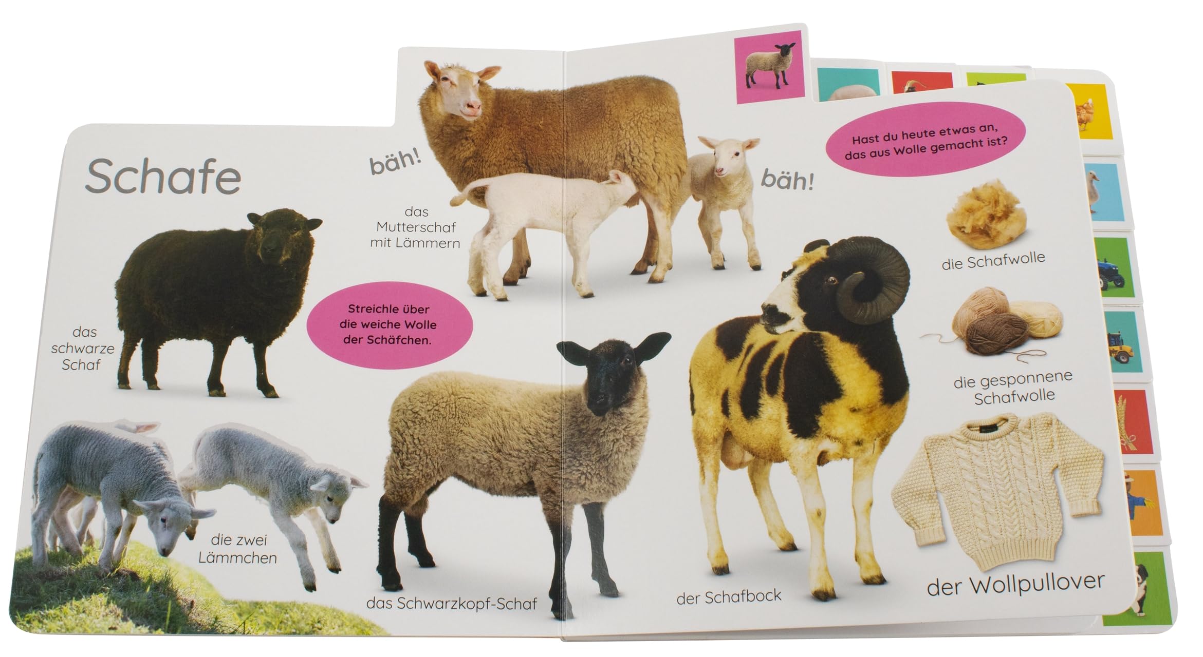 Erstes Lernen. Bauernhof: Pappbilderbuch mit Griff-Register und über 160 Fotos ab 1 Jahr