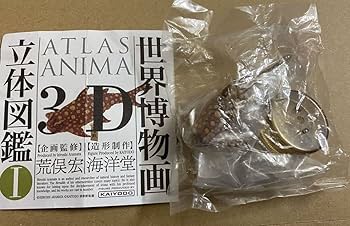 Amazon.co.jp: 生物 フィギュア 海洋堂 新江ノ島水族館 限定