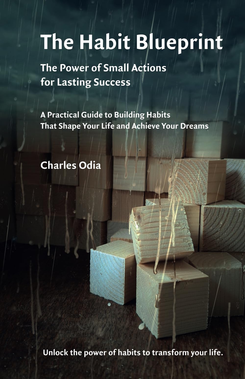 THE HABIT BLUEPRINT: The Power of Small Action for Lasting Success (Self help discovery, 1)