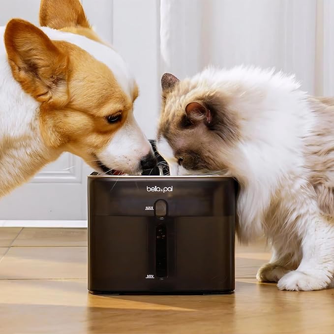 4 Filtros de Repuesto para Fuente de Agua para Gatos BELLA & PAL 4.2L miniatura 7