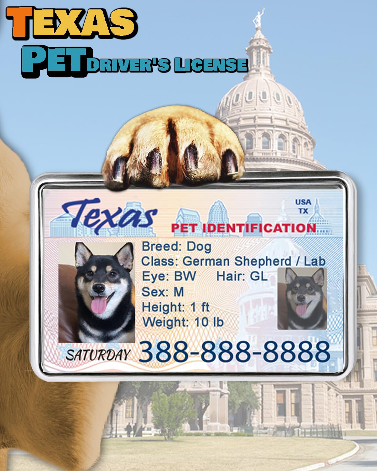 Custom Dog Driver License Tag for Pets - Personalized Pet ID Tag