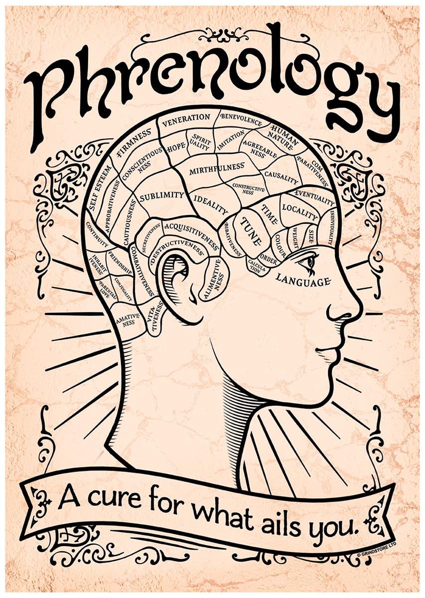 Grindstore Phrenology What Ails You Mini Poster 32X44cm