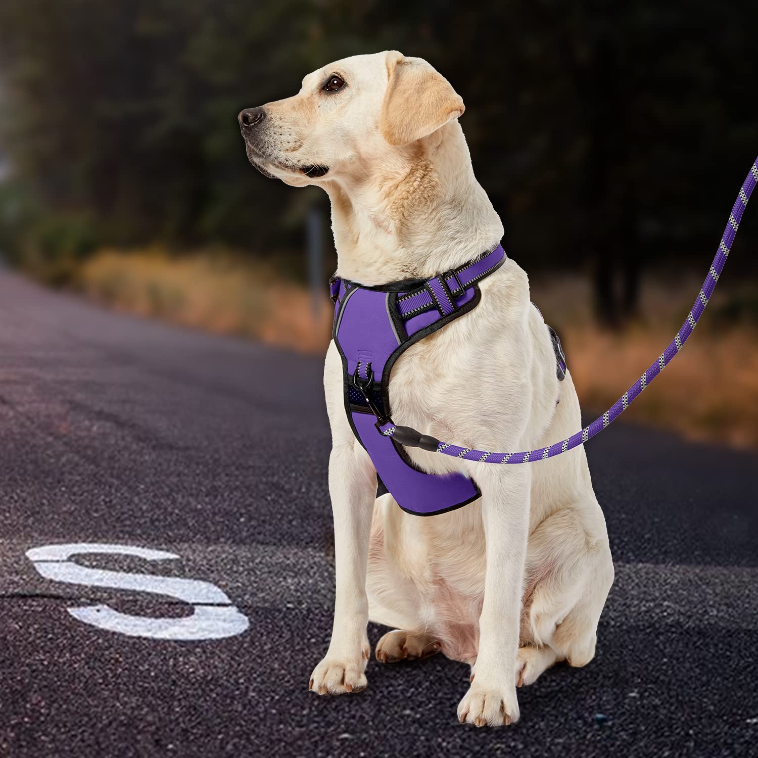 IVY&LANE Arnés sin tirones para perros grandes, arnés de chaleco para perro con correa, cinturón de seguridad y correa de almacenamiento, arnés totalmente ajustable, tira reflectante de 360°, mango