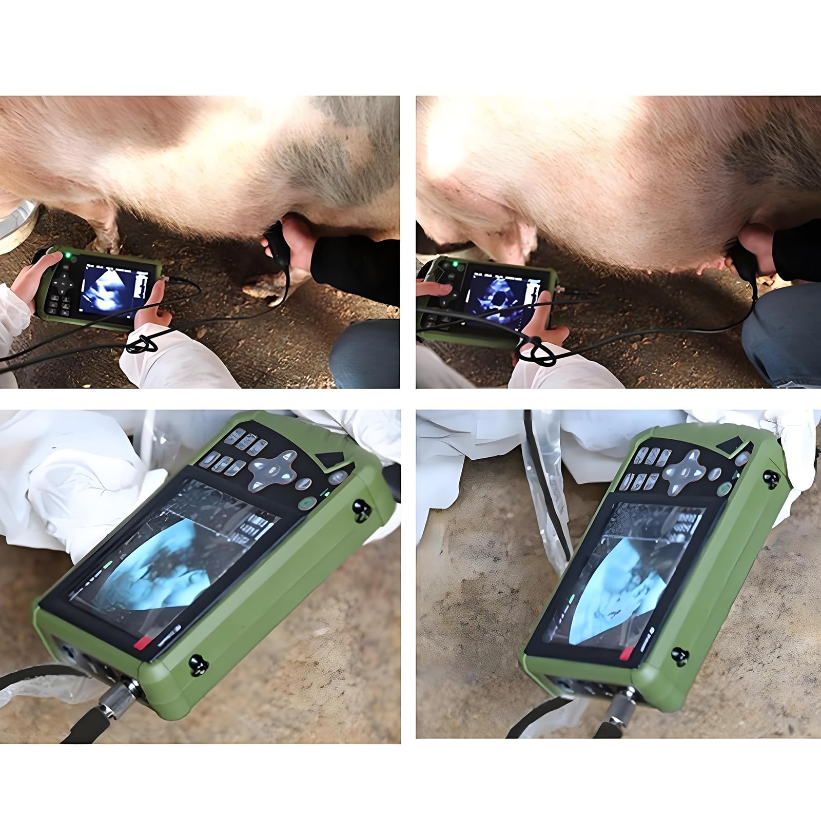 échographe Vétérinaire pour La Gestation, 3,5 MHz, Sonde Convexe, 8 Pseudo-Couleurs, Images HD, avec Cardiofréquencemètre