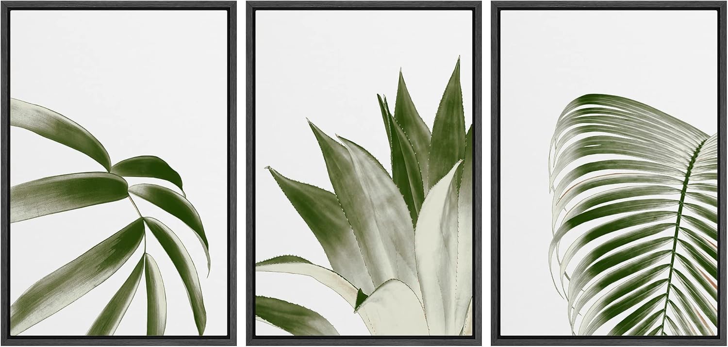NWT Framed Canvas Print Wall Art Set Overexposed Jungle Leaf & Succulent Trio Nature Plants Illustrations Modern Art Contemporary Scenic Multicolor for Living Room, Bedroom, Office - 16"x24"x3 Black