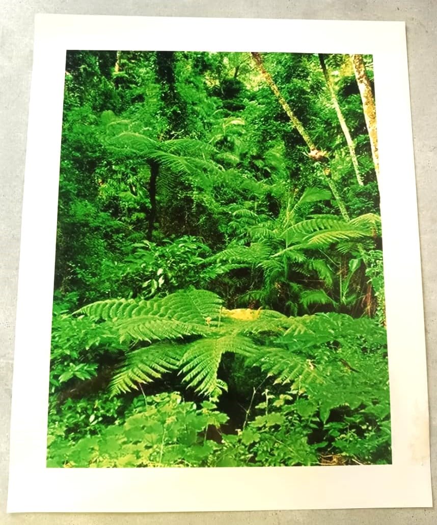 See full amazon price history chart for Plastic Greenary Scene Poster, Multicolour, Green Scene Vastu Portait Painting, 16x20 Inch Plastic Greenary Scene Poster, Multicolour, Green Scene Vastu Portait Painting, 16x20 Inch (B08HTZGHG4) Amazon Price History, Amazon Price Tracker