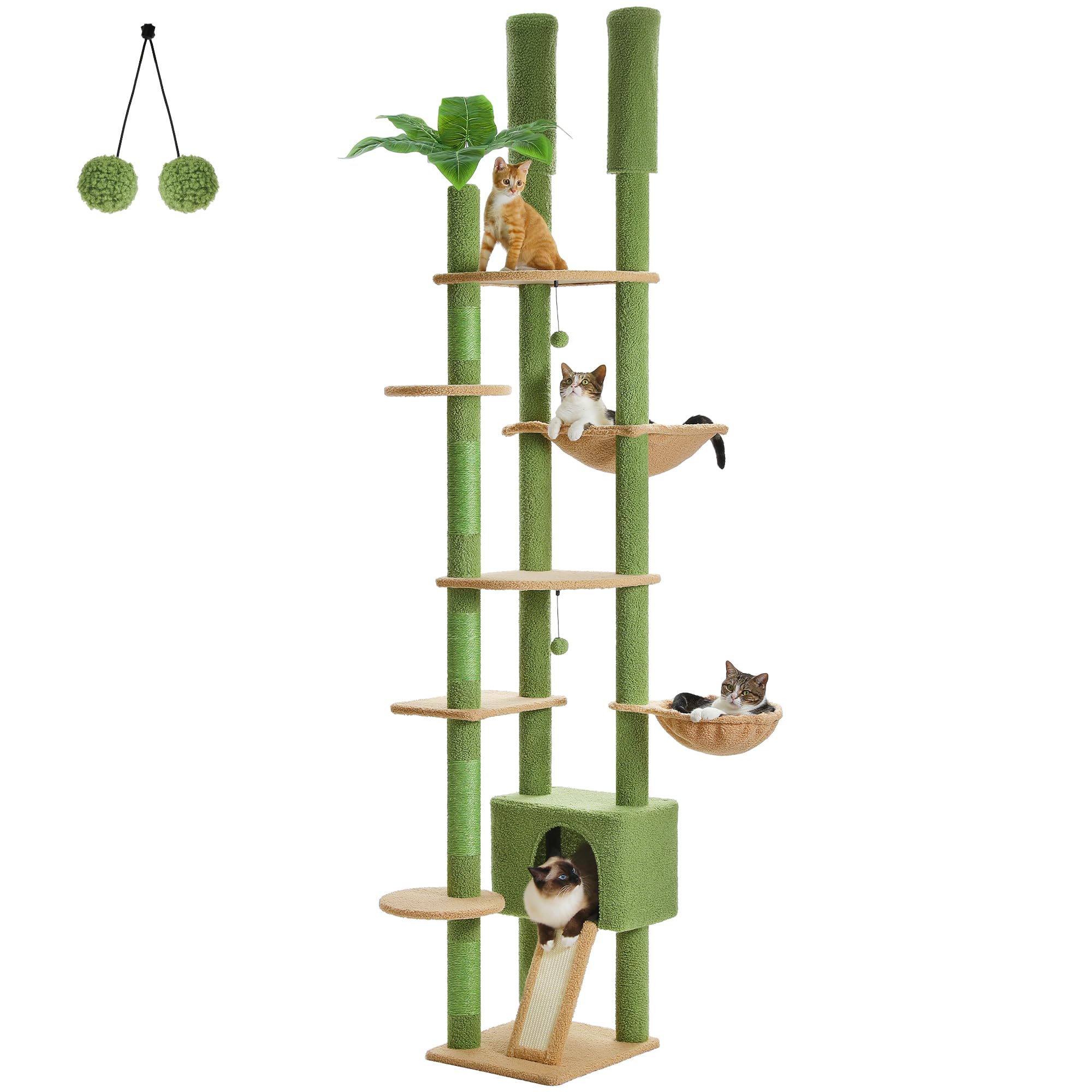 PAWZ Road AMT0249GN