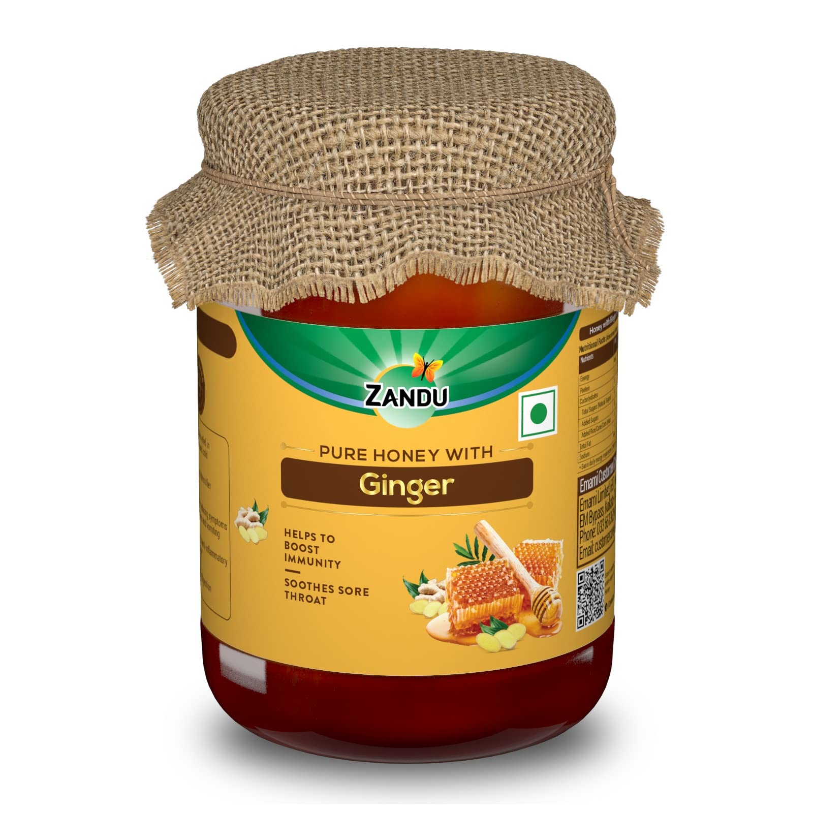 Zandu Pure Honey with Ginger: Specially Formulated to Meet Holistic Wellness Needs | Offers Relief from Cough and Cold | Helps Boost Immunity & Supports Digestive Health (Pack of 650 g)