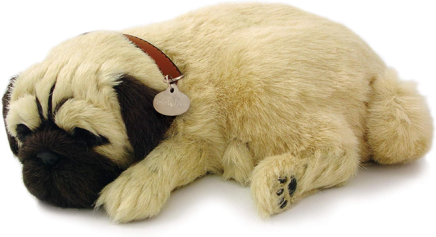 Pug, Multi Color