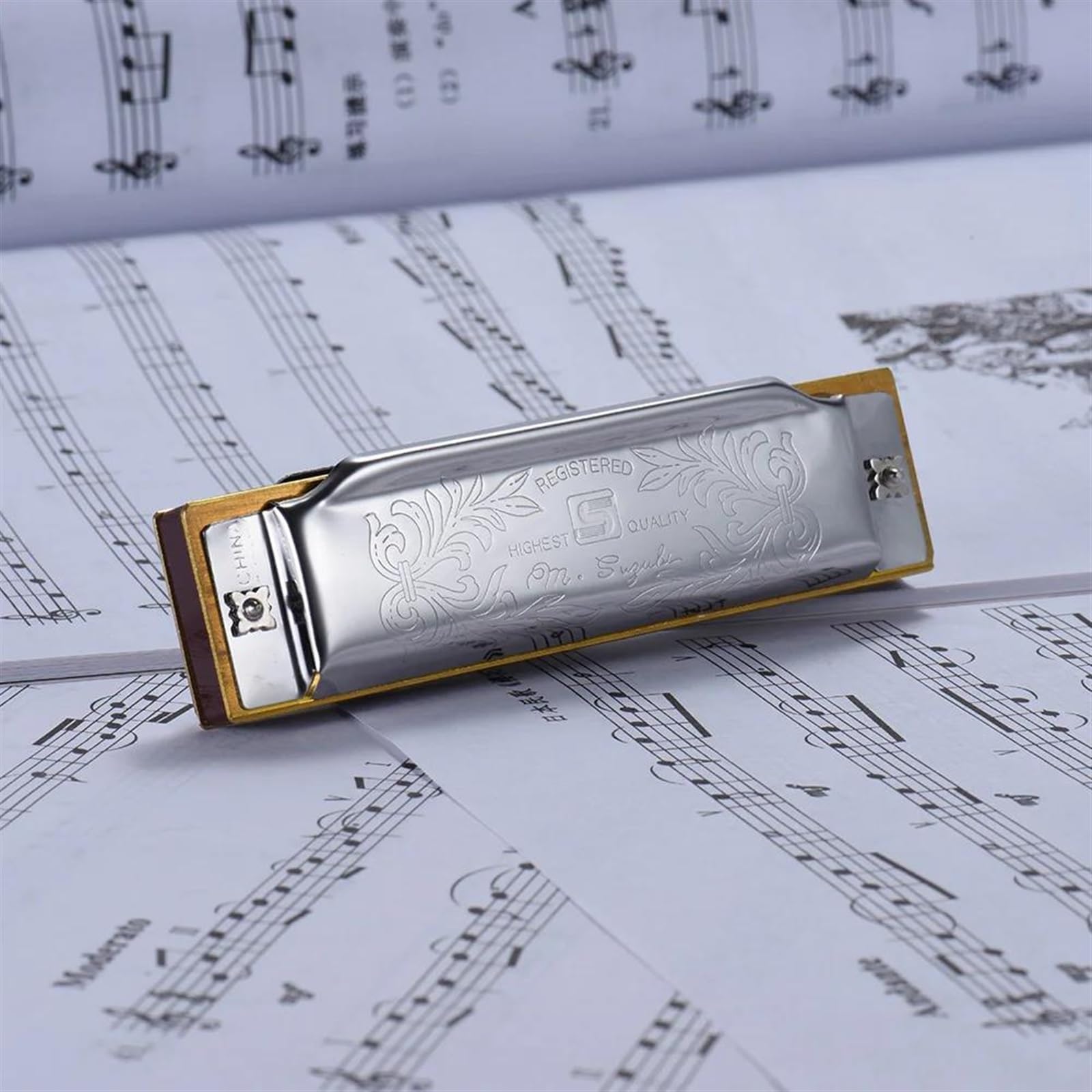 Standardowe Harmonijki Blues Harmonica Standardowa Klucz 10-Otworowy 20 Tonów Diatoniczna Blues Gaita Harmonica(E Key)
