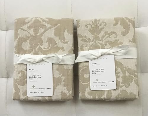 Pottery Barn Jacquard Medallion Euro Shams ~*~Juego de dos ~* ~ Marfil/Lino/Neutral~