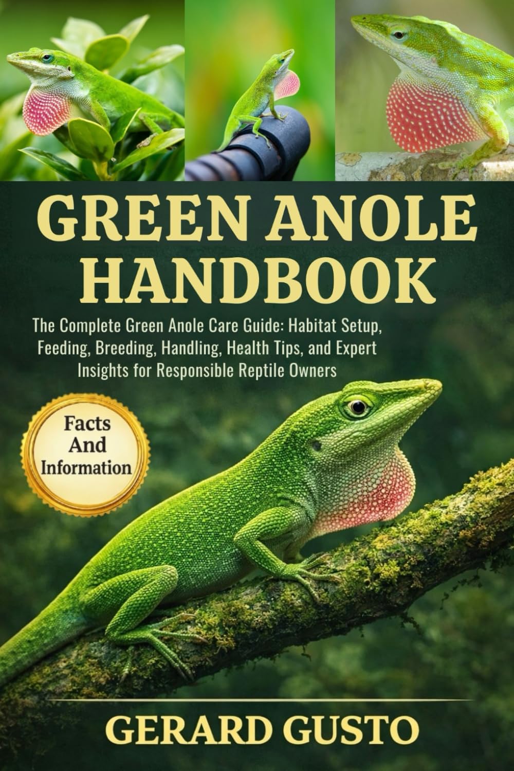 GREEN ANOLE HANDBOOK: The Complete Green Anole Care Guide: Habitat Setup, Feeding, Breeding, Handling, Health Tips, and Expert Insights for Responsible Reptile Owners