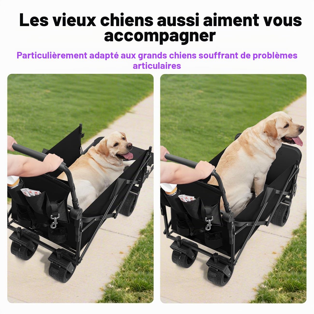 GGW Poussette pour Chien Tout Terrain, pour Chiens de Taille Moyenne à Grande Jusqu'à 50kg, Idéal pour Chiens Âgés et Post-opératoire