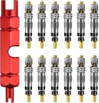 12 Presta Valve Cores, and 1 Tyre Valve Core Removal Tool for Tubeless Presta, Schrader Valve Repair and Installation, MTB Road Bicycle Tyre Tool Kit