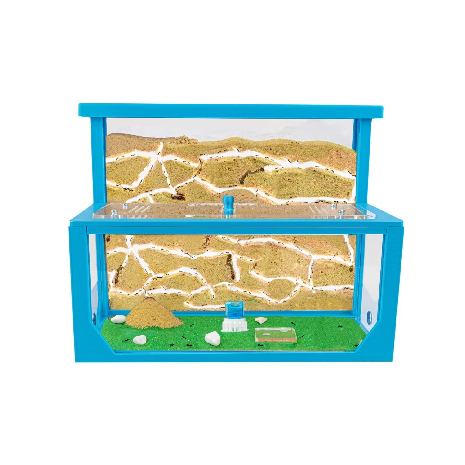 Anthouse.es - Hormiguero Natural de Arena - Kit Hormiguero 3D Forma de L (Sándwich + Caja de Forrajeo) - Granja de Hormigas con Colonia de Hormigas Incluida - 25x20x1 cm y 10x24x10 cm - Azul