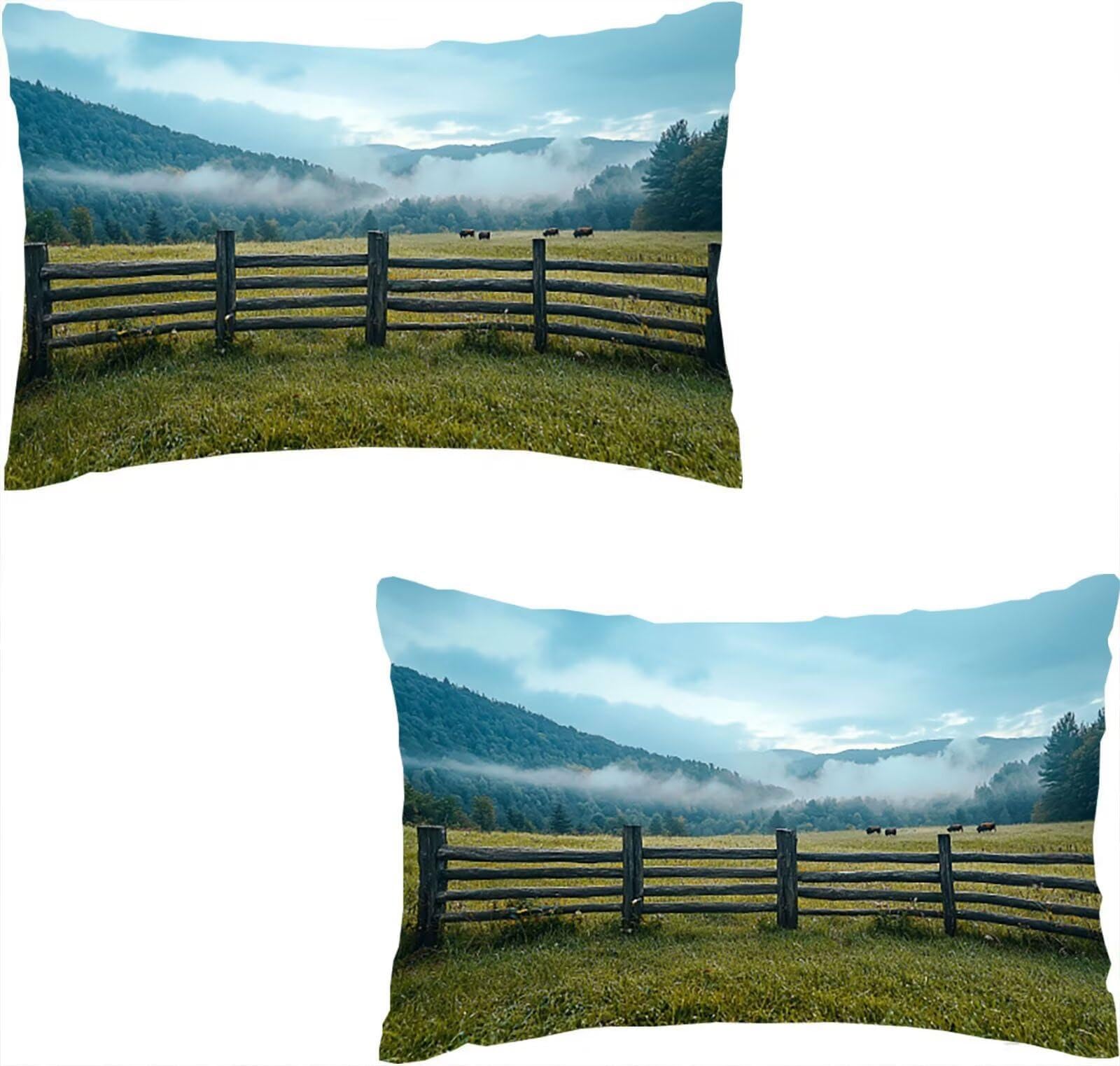 Housse de coussin velours 40x60 cm lot de 2 pour canapé et salon