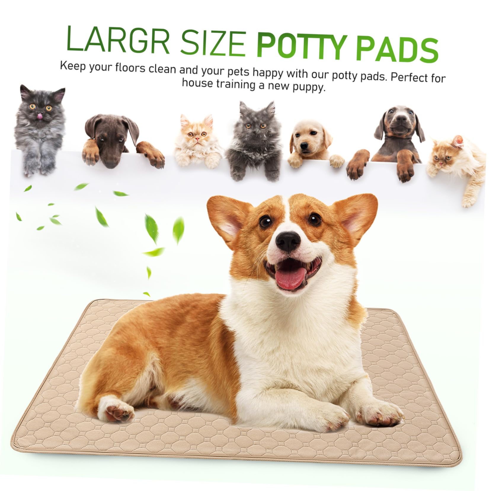2pezzi Tappetini Igienici Assorbenti Lavabili Per Cani e Gatti Superficie Assorbente e Base Antiscivolo Per Addestramento e Comfort Degli Animali Domestici