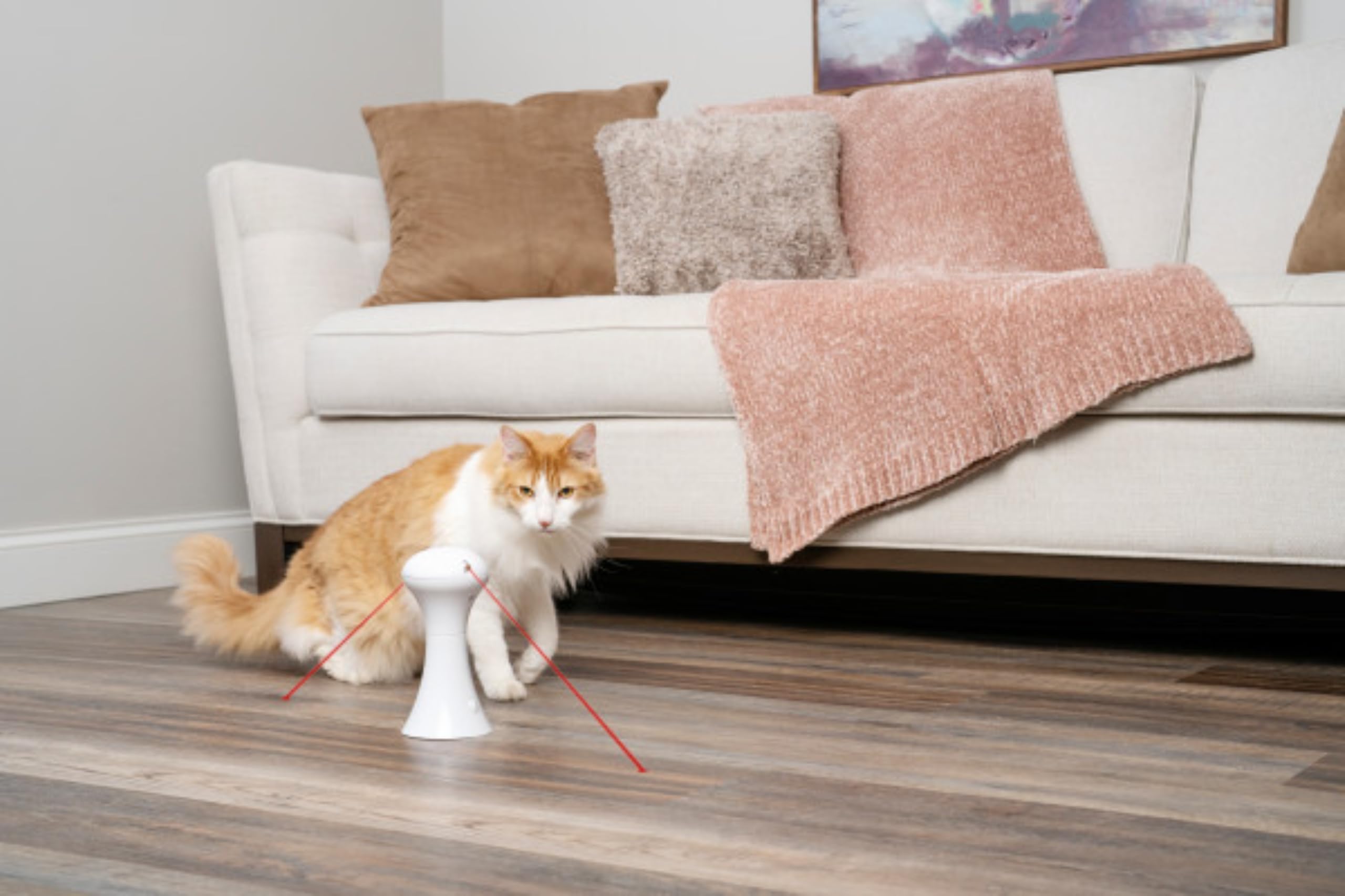 PetSafe Multi-Light Katzenspielzeug – 0,34 kg