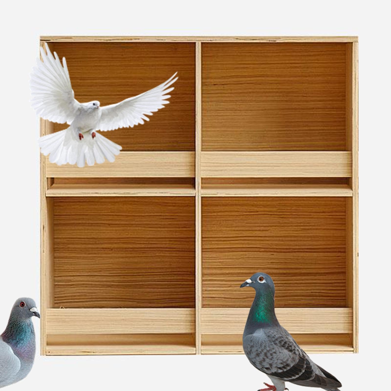 Pigeon Nido Scatola Nidificazione Gabbia Allevamento Legno Contenitore Cibo Porta Uccelli Accesso Facile Adatto per Canarini Pappagalli Cocorite, 4 Griglie 60cmx60cm