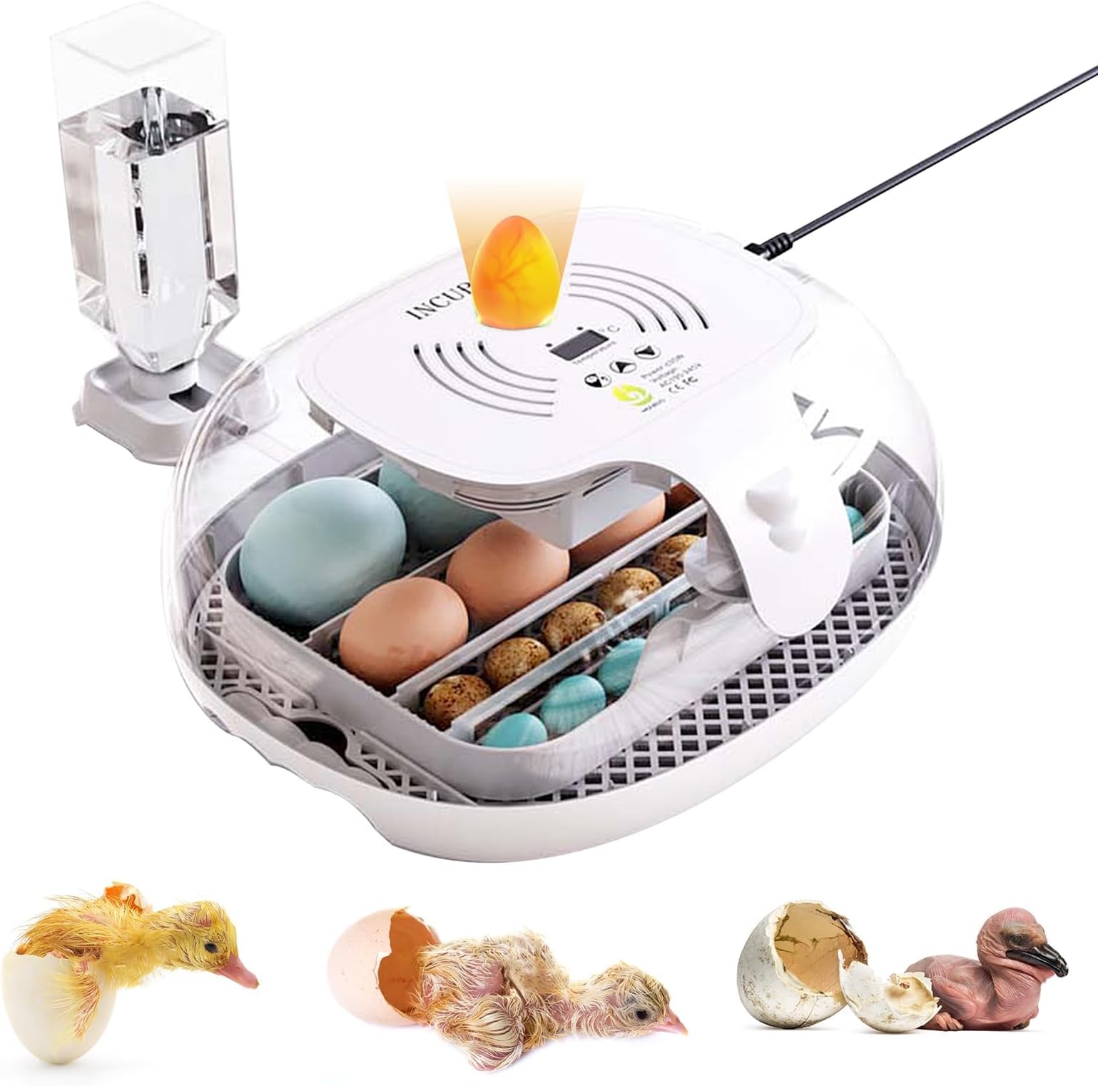 Egg Incubators for Hatching Eggs, Automatic Egg Incubator with Automatic Turner and Temperature Control,Poultry, Pigeon & Game Bird Egg Incubators for 16-25 Eggs