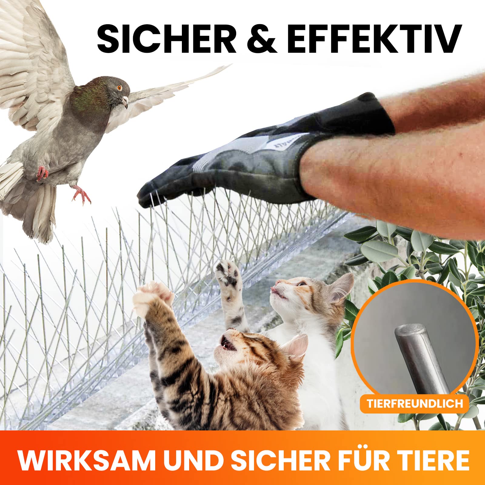 Konzept 11 - Dissuasore per uccelli in acciaio inox contro piccioni, passeri, merli, martore, gatti – repellente per balcone, davanzale, giardino – adatto agli animali, set da 10 pezzi, 5 file