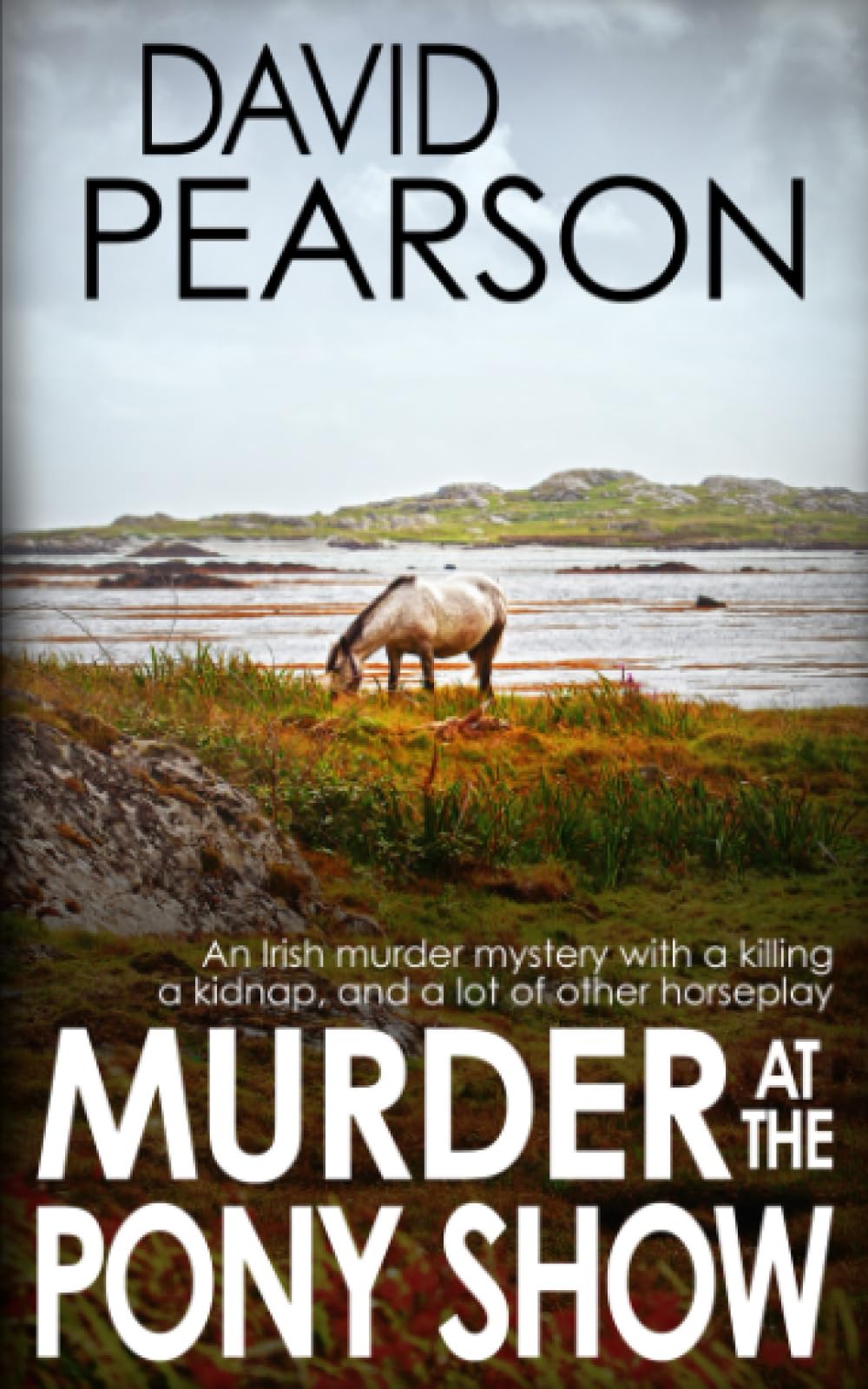MURDER AT THE PONY SHOW: An Irish murder mystery with a killing, a kidnap, and a lot of other horseplay (The Galway Homicides)
