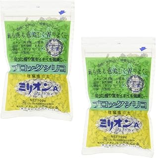 (まとめ買い)ソフトシリカ ミリオンA 100g 2セット
