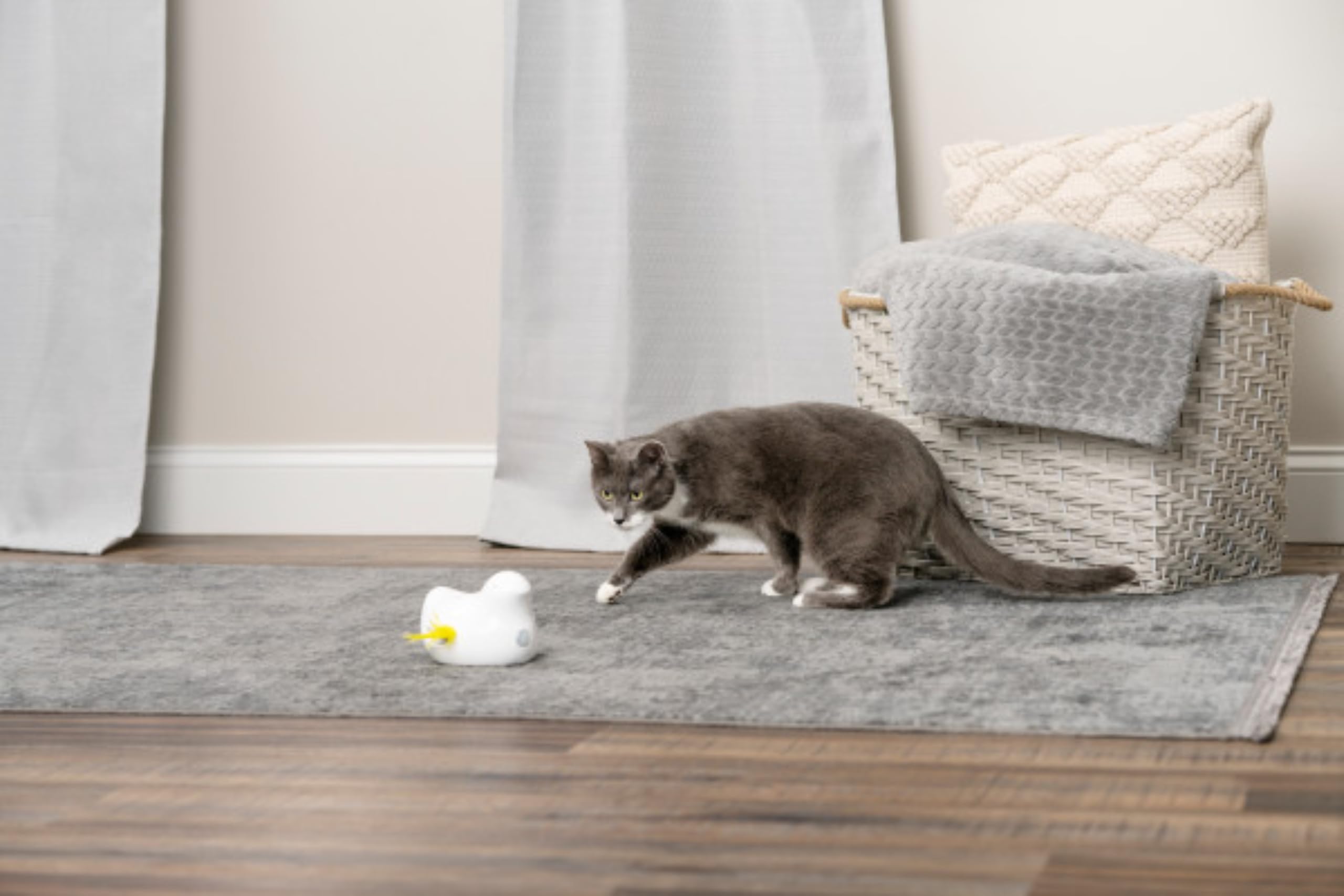 PetSafe Gioco Elettronico per Gatti Peek-A-Bird