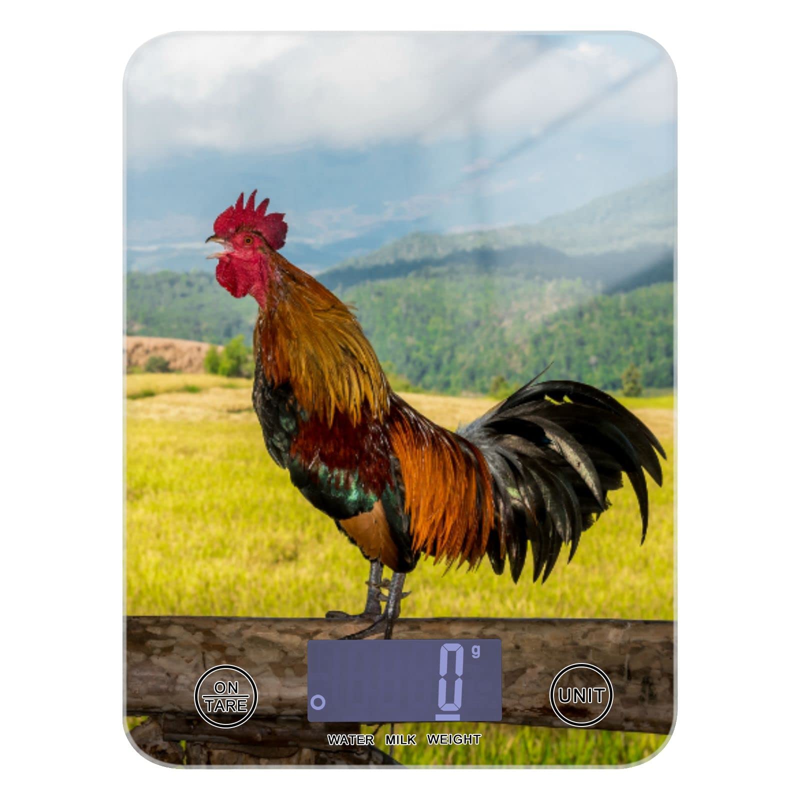 susiyo Balance alimentaire en forme de coq et d'herbe, affichage numérique du poids en grammes/onces/millilitres/livres Balance de cuisine pour perte de poids, pâtisserie, cuisine, tare et fonction