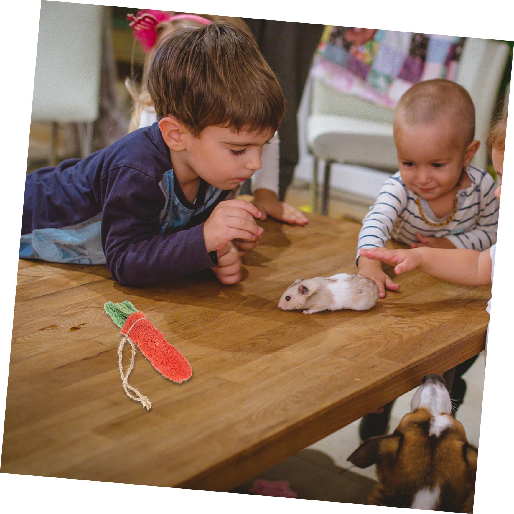 SUPVOX Santé De Votre Animal 8 Jouets Molaires pour Hamster Ensembles De Sûrs pour Oiseaux De Guinée Perroquets Écureuils Hamsters Couleurs Aléatoires