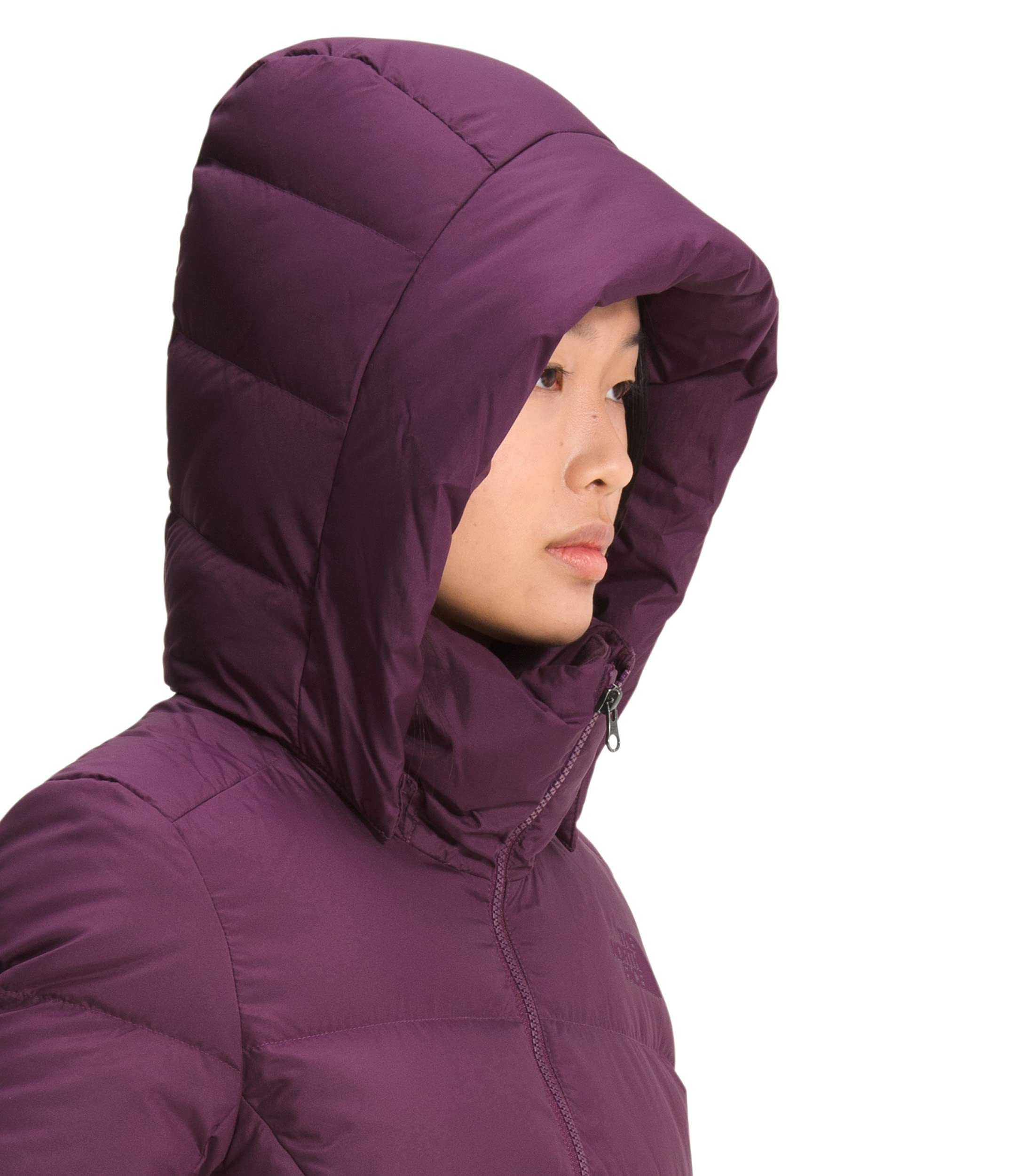 THE NORTH FACE Women's Metropolis Insulated Parka (Standard