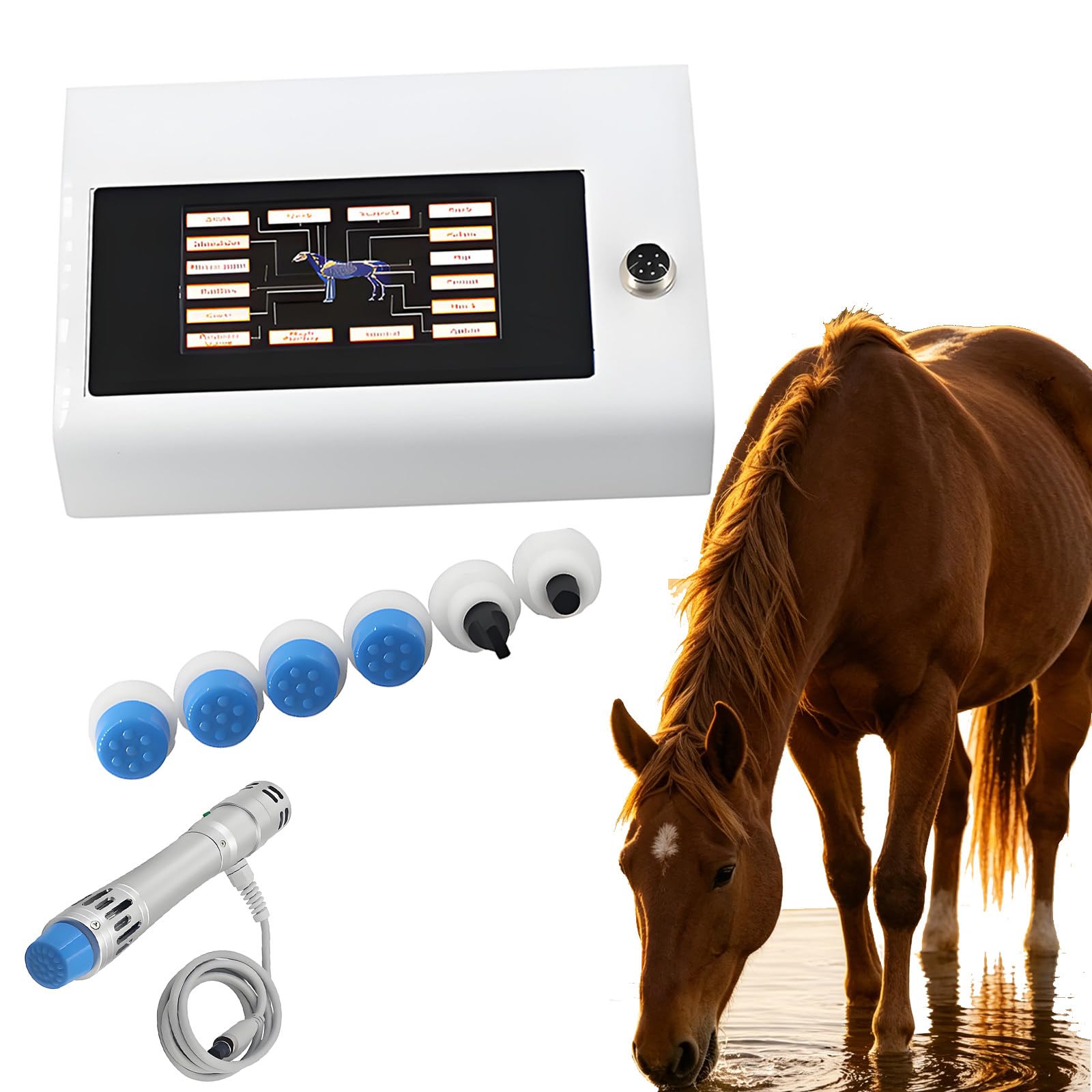 HuanSebesity Veterinary Extracorporeal Shockwave Therapy Machine,Equine Deep Tissue Shockwave Device,Touch Screen Massager for Horse Dog Joint Muscle Pain Relief Tendon Ligament Injury Rehabilitation