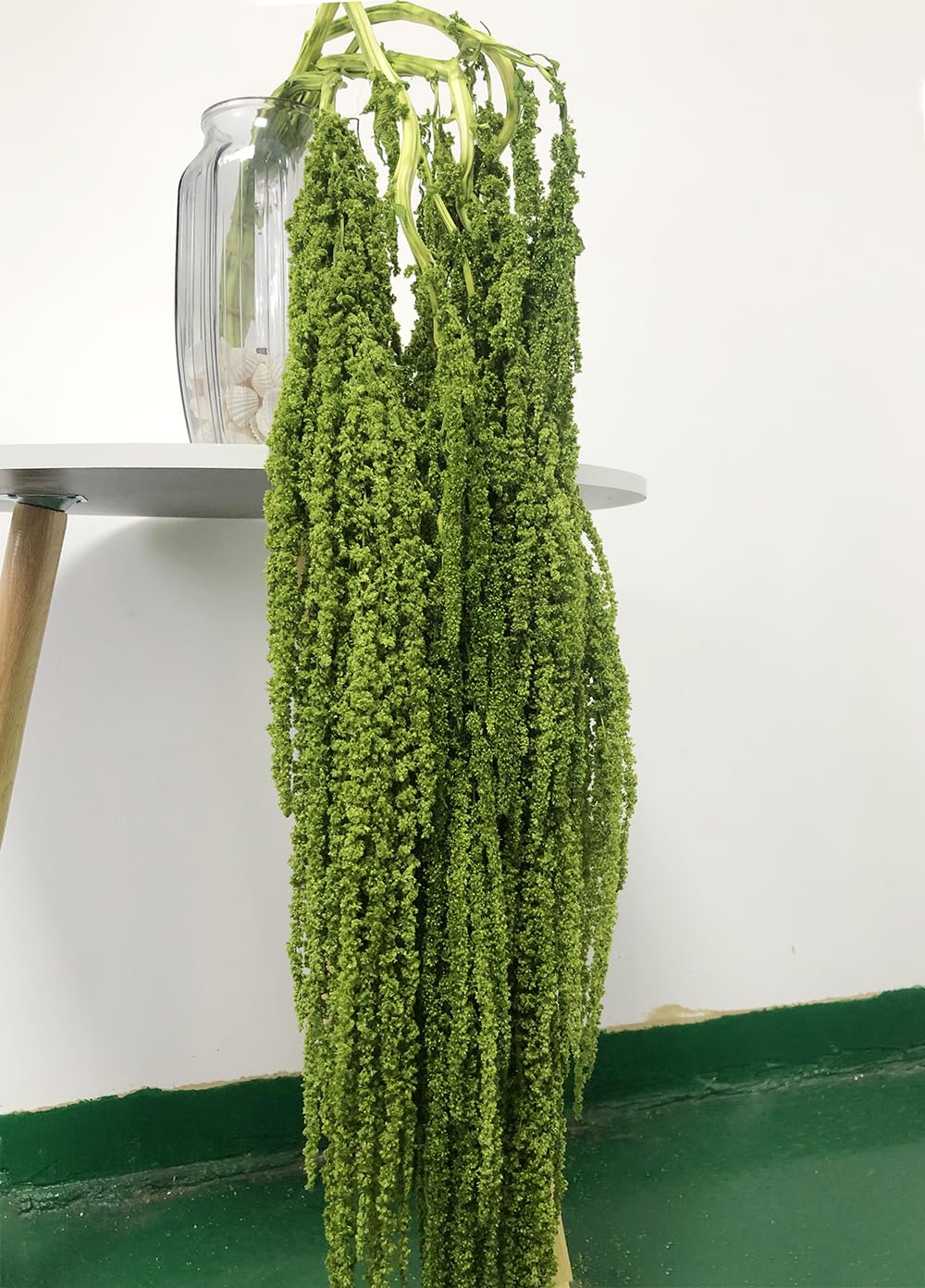Dongarts Green Natural Preserved Amaranthus Flowers, 5 Pcs Bleached Wisteria Vine Hanging Dried Flowers For Wedding Bouquet, Home Party Decor (Green)