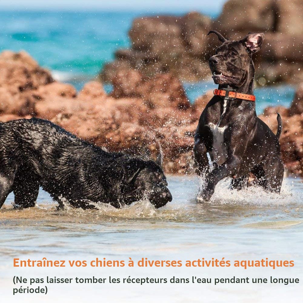 Collier de Dressage pour Chiens Electrique, Anti Aboiement avec Télécommande Beep Vibration Choc et Lumière LED, Etanche Rechargeable pour 2 Chiens Petit Moyen Gros Noir