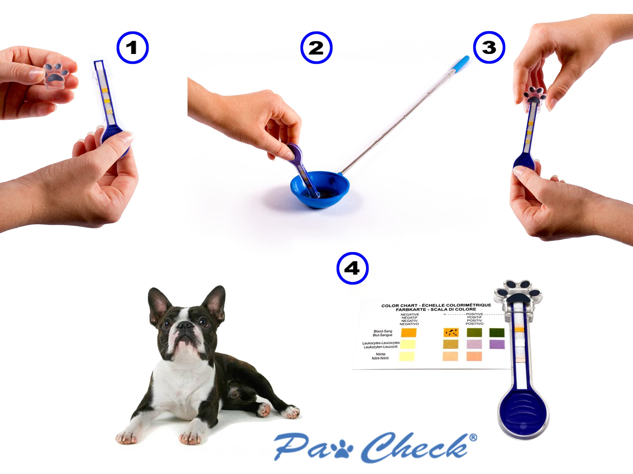 How Much Does A Urine Culture Cost For Dogs