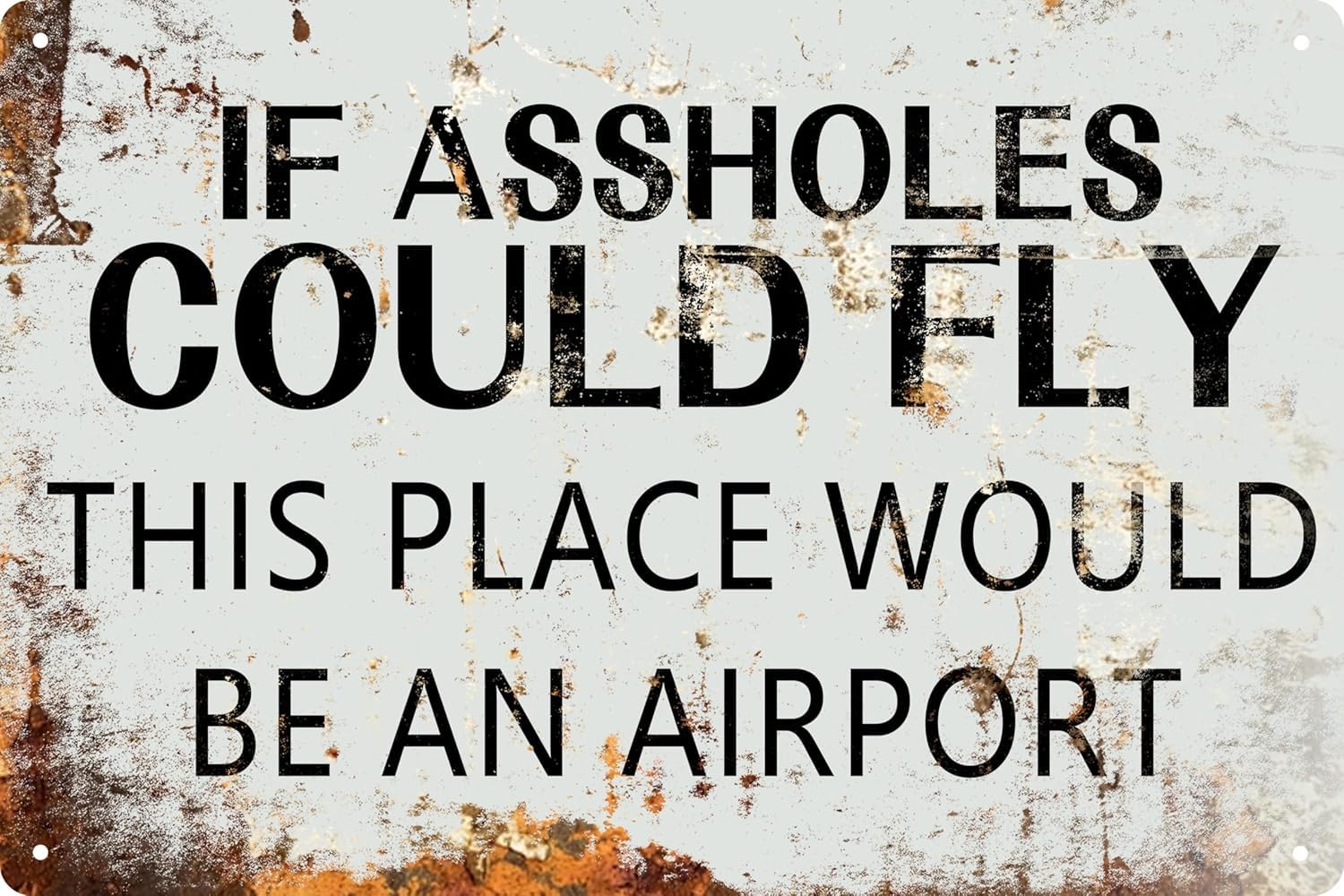 SMAZDFXX Funny If Assholes Could Fly Vintage Plaque Decor Tin Signs Home Decor Restaurant Bar Cafe Garage Wall Decor Metal Hanging Plaque Home Decoration Poster 12"x16"