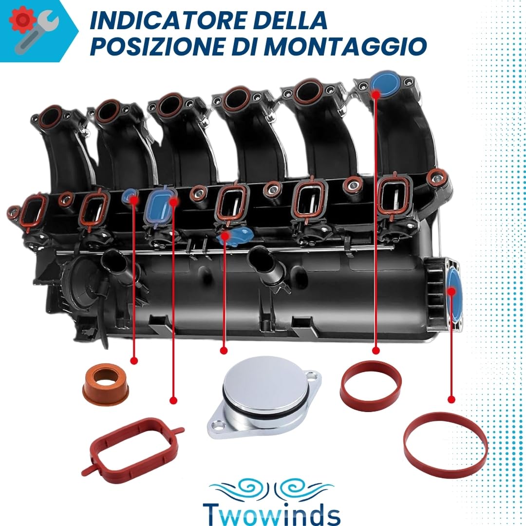 Twowinds Kit Annullare Farfalle Collettore - (6 tappi, 20 Guarnizioni)