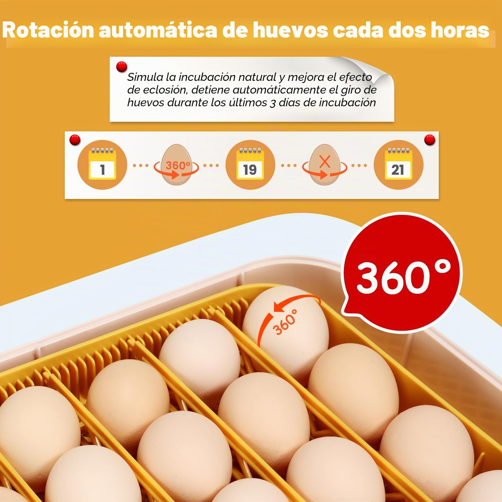 Sailnovo Incubadora de Huevos, Incubadora de 56 Huevos con Volteo Automático de Huevos, Control de Temperatura y Añadido Automático de Humedad, Incubadoras de Gallina, Codorniz, Pato, Amarillo