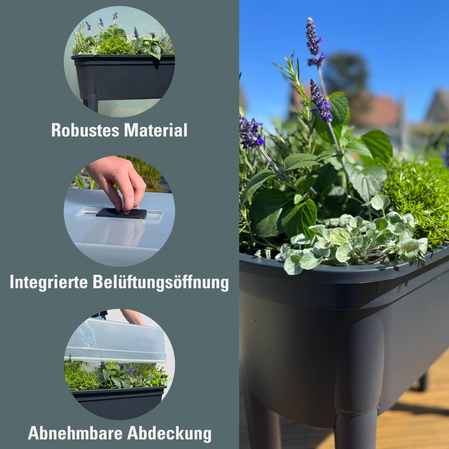 Prosperplast Jardinière surélevée Bloomo 78 x 82 x 37 cm avec pieds et couvercle amovibles | Jardinière surélevée pour jardin et balcon | en plastique robuste | Anthracite | résistant aux intempéries
